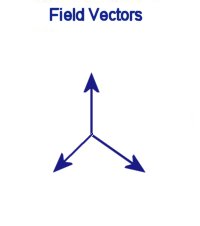 Magnetic Field Vector
