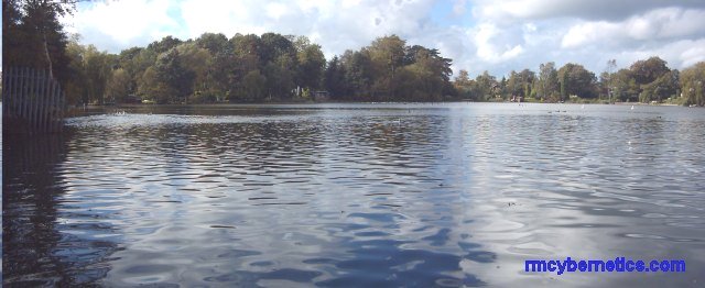 Panoramic Alsager Mere