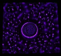 Kirlian Photo Plate Coin2 plate