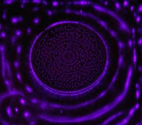 Kirlian Photo Plate Coin Waves