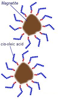 Ferrofluid Structure